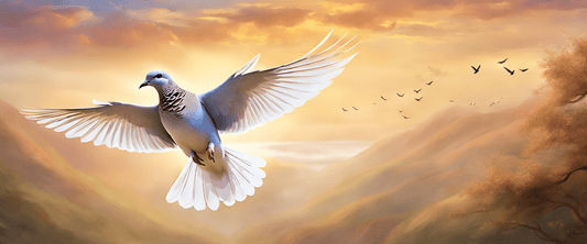 Elegant Funeral Flyers and Designs - The Funeral Program Site