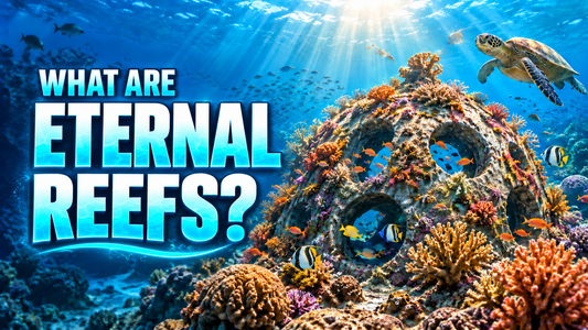 Eternal Reef: Honoring Loved Ones and Restoring Our Oceans