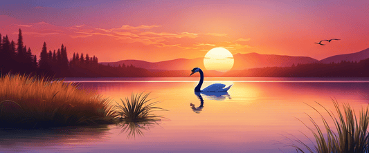 Tips for Writing Heartfelt Content for Your Funeral Program - The Funeral Program Site