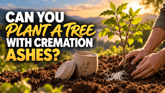 What Is a Living Urn? Eco-Friendly Memorials Explained - The Funeral Program Site
