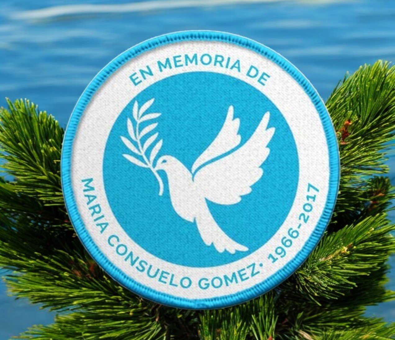 Gppatch Programa Paloma con ramita en memoria de Patch - Sitio del programa funerario ...