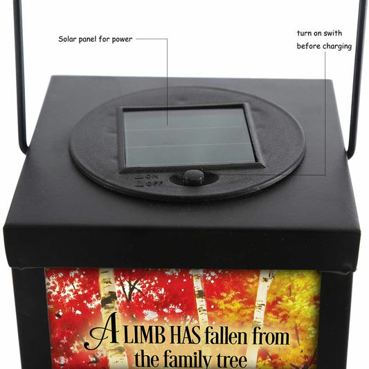 Fallen Limb Solar Powered Memorial Lantern - The Funeral Program Site