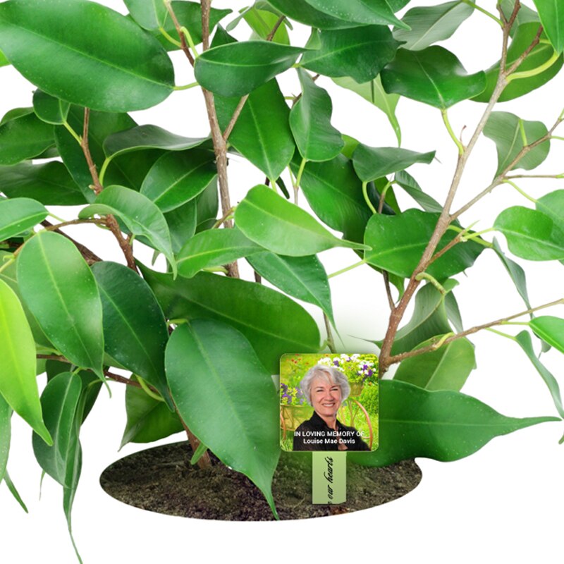 Lush Greens Personalized Memorial Garden Plant Stake.