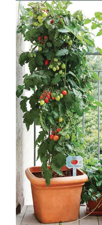 memorial potted plants Lush Greens Personalized Memorial Garden Plant Stake