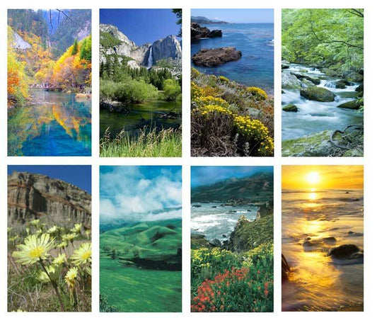 Outdoor Landscapes Assorted Funeral Prayer Card Paper (Pack of 24) - The Funeral Program Site